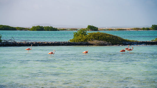 5 Affordable Spring Break Destinations