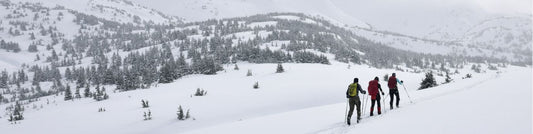 backcountry skiing