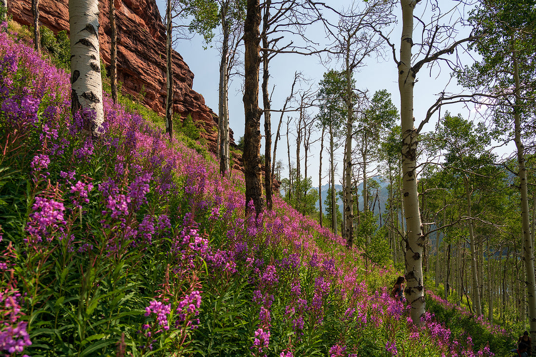leave no trace