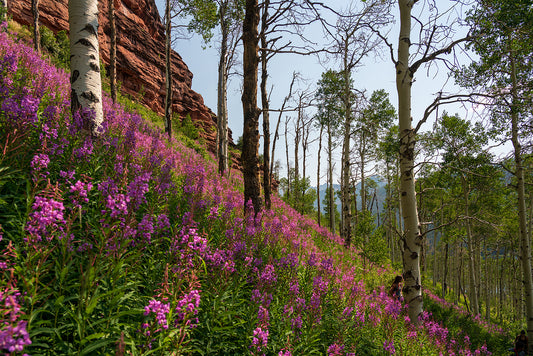 leave no trace