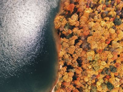 overhead of fall foliage along coastline