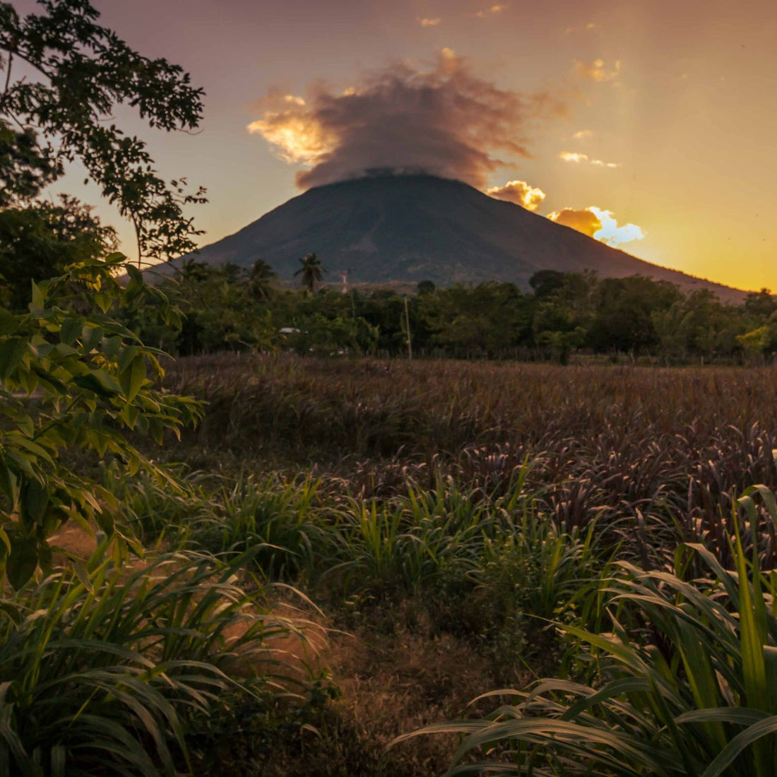 Volcano in a jungle