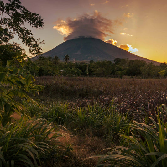 Volcano in a jungle