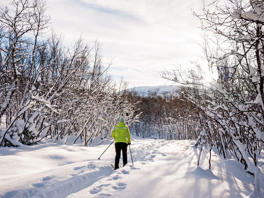 Backcountry Skier