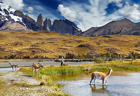 What to Pack for a Patagonia Adventure