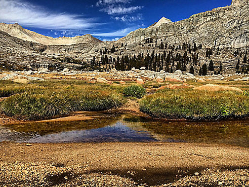 Why Nature is Good for Your Mind and Body