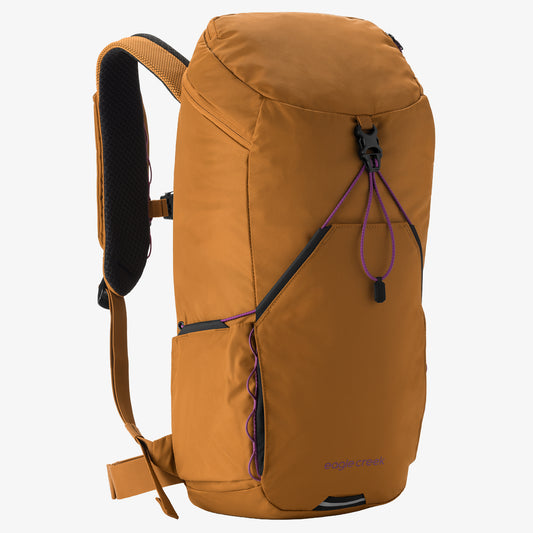 Eagle Creek Backpacks