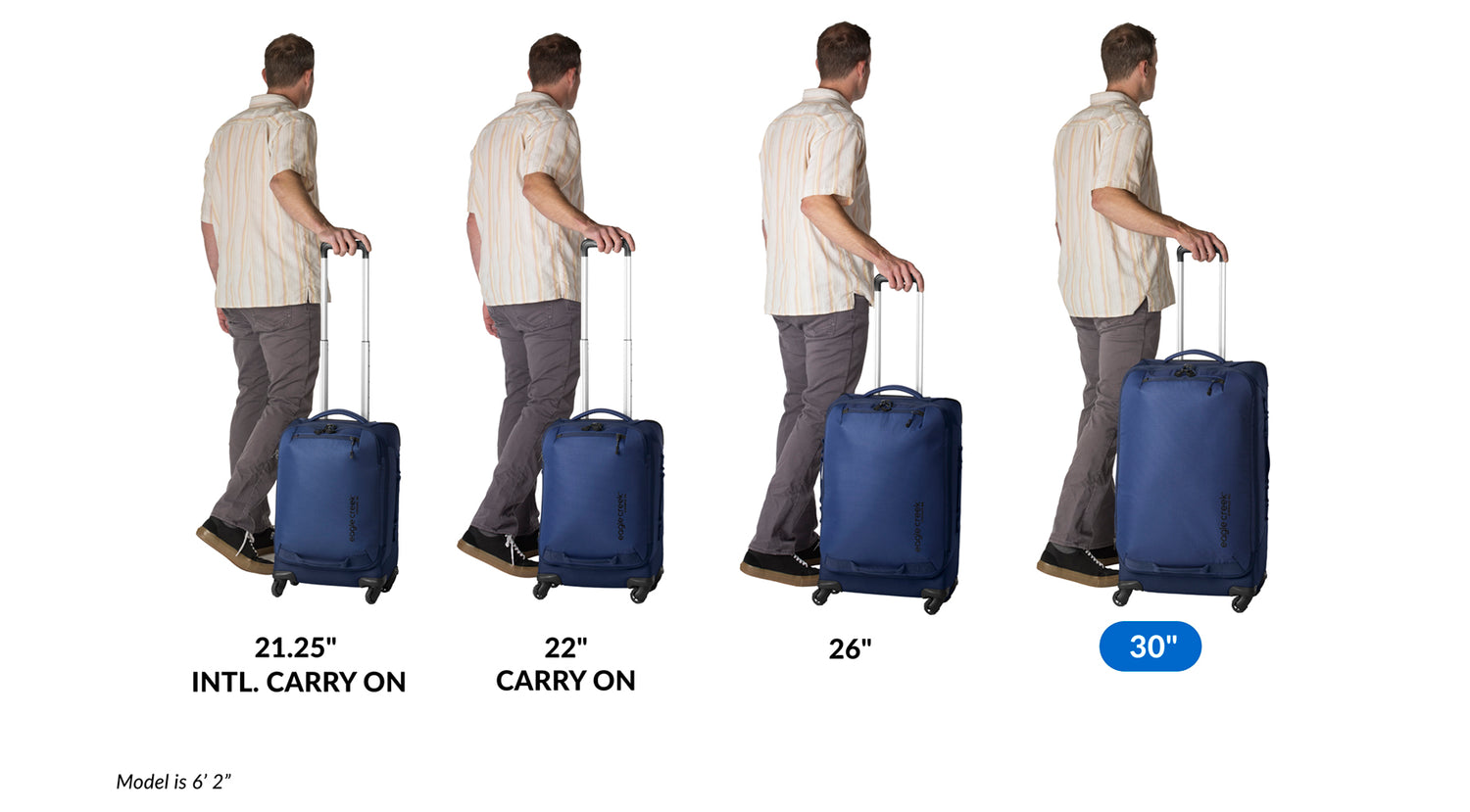 Black 4 Wheel Cabin Luggage